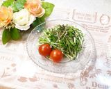 パパっと簡単♪水菜サラダ作り方17写真