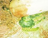 豆腐花見団子(血管ダイエット1495)作り方3写真