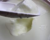 オイコスと無脂肪牛乳で簡単！ヨーグルト作り方6写真