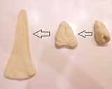 【冷蔵庫発酵】塩バターのロールパン作り方8写真