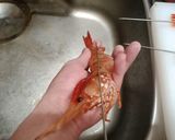 豪華！高級！ 焼きボタンエビ作り方5写真