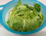 キャベツの簡単おひたし♪(レンチン)作り方5写真