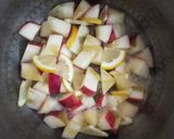 白いんげん豆とりんごのはちみつレモン煮作り方7写真