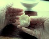 【中華広東料理】家でワンタン麺を作る作り方6写真