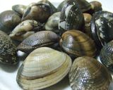 簡単！激ウマ！　アサリの酒蒸し作り方1写真