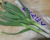 土佐ぬた作り方1写真