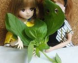 リカちゃん♡ソーセージンラタトゥイユ風作り方14写真