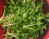 簡単！レンジだけで豆苗ともやしの豚肉蒸し作り方2写真