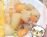 【出稼ぎメシ】根菜と豚こまの炊飯器煮作り方5写真