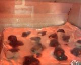 レンジとトースターで、チョコもち煎餅作り方4写真