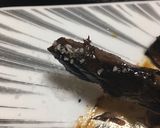 まぐろ血合い黒焦げ漬け焼き作り方14写真