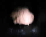 うさこと金柑作り方1写真