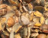 あさりご飯作り方4写真