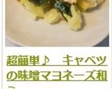 超簡単♪　キャベツの味噌マヨネーズ和え作り方8写真