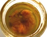 タコ　桜の風味のカルパッチョ作り方1写真