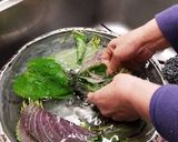 オモニ直伝！えごまの葉漬け ケンニプ作り方1写真