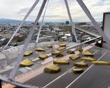 ダイソーのセーター干しネットで干し芋作り方3写真