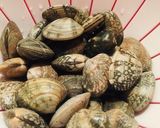 飲むエキスやば　あさりかホンビノス酒蒸し作り方1写真