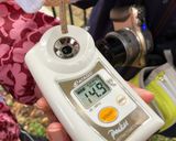 古代の甘味！あまづらせん（甘葛煎）作り方12写真