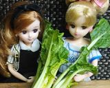 リカちゃん♡小松菜の味噌佃煮作り方1写真