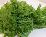 牛肉のわさび菜炒め作り方1写真