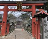 古代の甘味！あまづらせん（甘葛煎）作り方14写真