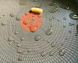 ほうれん草のシャンタン炒め作り方1写真
