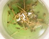 つくしの下ごしらえ作り方6写真