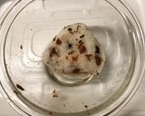 梅結び醤油マヨソテー作り方3写真