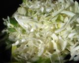 みんな呆れた卵ごはんのカレー、醤油たらり作り方4写真