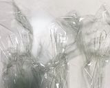 全てレンジ豆腐春雨梅スタそぼろ炒め煮作り方14写真