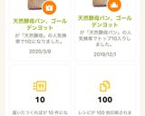 天然酵母パン、ゴールデンヨット作り方9写真