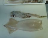 信州の味♪自家製塩いかの仕込み方作り方1写真