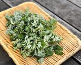 春です！よもぎを摘んでよもぎ苺大福作ろう作り方2写真