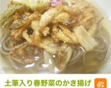 つくしの下ごしらえ作り方20写真