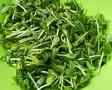 超簡単！レンジ調理で豆苗のツナ和え♪作り方1写真