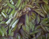 ご飯のお供☆茎わかめの佃煮作り方2写真