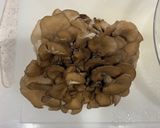 サクサク 舞茸の天ぷら作り方1写真