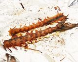 へしこ酒作り方4写真