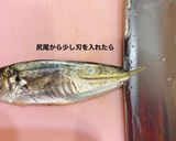 小アジ豆アジのズボラな簡単下処理！作り方3写真