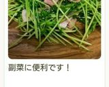 ベーコンと豆苗のニンニク炒め♪作り方13写真