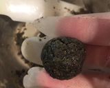 和菓子おやつ♪黒ごまきな粉団子作り方9写真