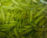 茎わかめの佃煮作り方3写真