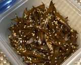 茎わかめの佃煮作り方7写真