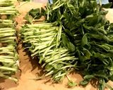 まいたけと豆苗の卵とじ作り方1写真