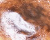 薬膳簡単おいしい濃厚バスク風チーズケーキ作り方10写真