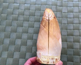 【野菜ソムリエ】京たけのこの下処理作り方2写真