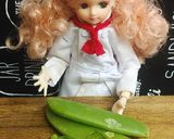 リカちゃん♡春っぽい？豚の塩麹炒めꕤ*｡作り方5写真