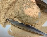 春は牡丹餅作り方4写真