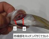 ハタハタのおつまみ素焼き(トースター)作り方1写真